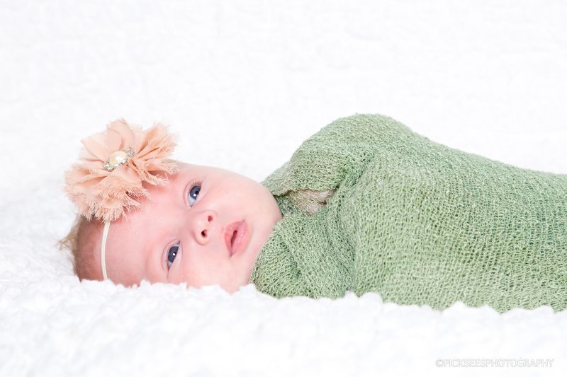 Pretoria Newborn Baby Photographer